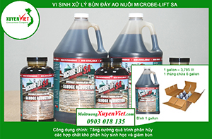 Microbe-Lift SA - Xử lý bùn: Công dụng, liều dùng và cách sử dụng